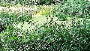 German Black Ebony Teen Zaawaadi Quick Outdoor Sex with white Guy