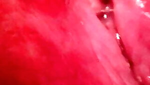 CAMERA INSIDE PUSSSSY