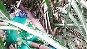 Shilpi bhabhi ko ganne ke khet me pela